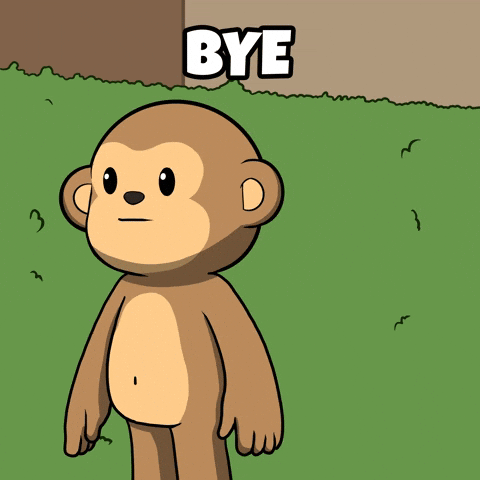 Good Night Lol GIF by Wise Monkey Meme