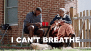 Cracking Up Lol GIF by Sage and lemonade