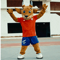 Panamericanos GIF by Team Chile