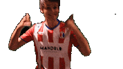 Yourdreamsarenow Theclassof2019 Sticker by De Kaascoman