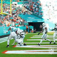 Happy Miami Dolphins GIF by NFL