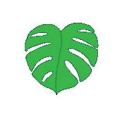 Plant Leaf Sticker by Wildflora LA