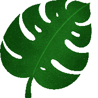 Jungle Monstera Sticker