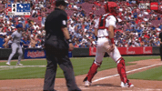 Chicago Cubs Baseball GIF