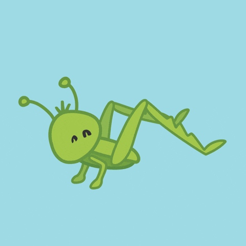 Cricket Cute Animal GIF by Ellie the Ellie