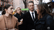 Law And Order Svu Nbc GIF by SVU