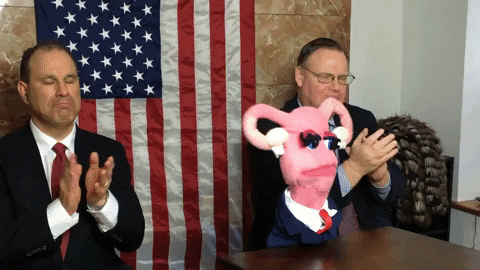 State Of The Uterus 2017 GIF by Abortion Access Front