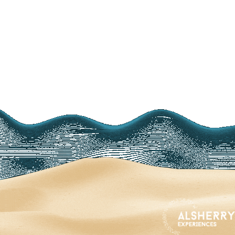 Beach Night Sticker by Alsherry Experiences