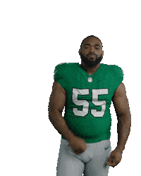 Fly Eagles Fly Nod Sticker by Philadelphia Eagles