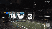National Football League GIF by NFL
