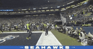 Regular Season Football GIF by NFL