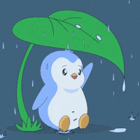 Raining Rainy Day GIF by Pudgy Penguins
