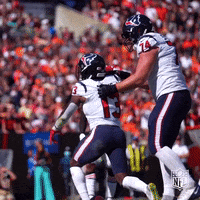 Happy Houston Texans GIF by NFL