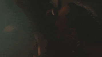 fox tv GIF by STAR