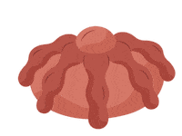 Así Sabe Recordar Sticker by Mole Doña María