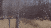 coffee tea GIF by Transgressive