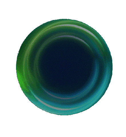 Black Sticker by Havan Oficial