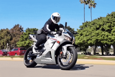 Interspacemonkey interspacemonkey phantomsociety wherzneutral GIF