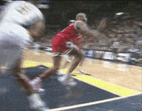 chicago bulls hustle GIF