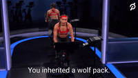 You Inherited A Wolf Pack
