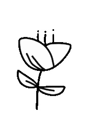 Flora White Flower Sticker