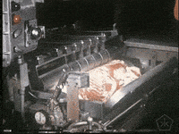 open knowledge spam GIF by Okkult Motion Pictures