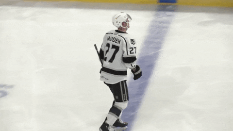 Reignhockey GIF by Ontario Reign