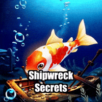 Koi Fish History GIF by TheConfishius