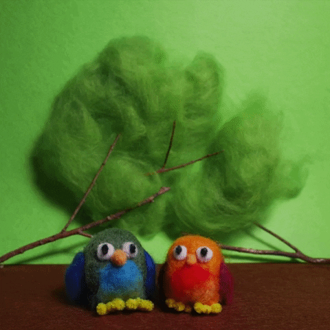 samandgruf giphyupload GIF