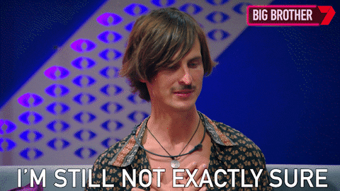 Big Brother Taras GIF by Big Brother Australia