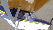 sergiohiidalgo  GIF