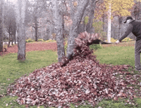 GIF by Demic