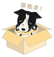 Dog Box Sticker