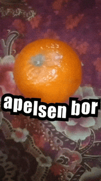 Beda Pres Bor GIF