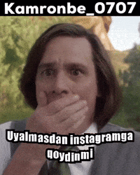 Uzbek Kot GIF