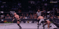 All Elite Wrestling GIF by AEWonTV