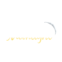 OldTownTrolleyTours travel tourism ott old town Sticker