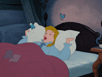 Cinderella75Th GIF by Disney