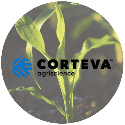 cortevaus giphyupload farmer corn farming Sticker