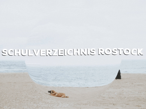 Happy Laugh GIF by PrivatschulenPORTAL.de