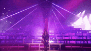 beyonce beychella beyonce homecoming GIF