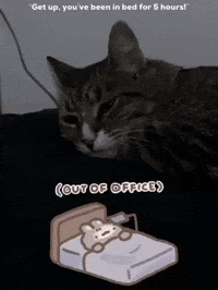 Fat Cat GIF by Bartini Orlando