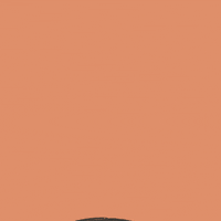 pegsterw cheers peanutbutter peanutbuttercheers GIF