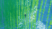Water Swimming GIF by Giant Squid