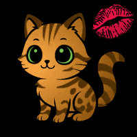 Cat Love GIF