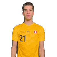Happy Feliz Sticker by Swiss Football Association