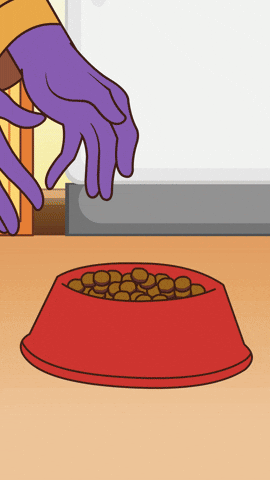Magic What GIF
