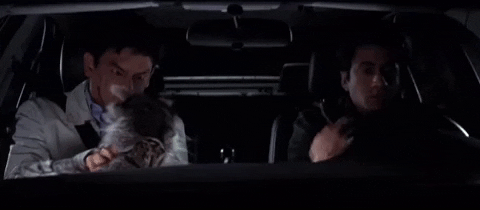 stevencervantes62a5b5dec0d54a529f588e34985d9a8c racoon haroldandkumar racoon funny harold and kumar movie GIF