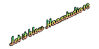 Let It Blow Haarstudio10 Sticker by Haarstudiotien