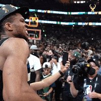Lets Go Yes GIF by Milwaukee Bucks